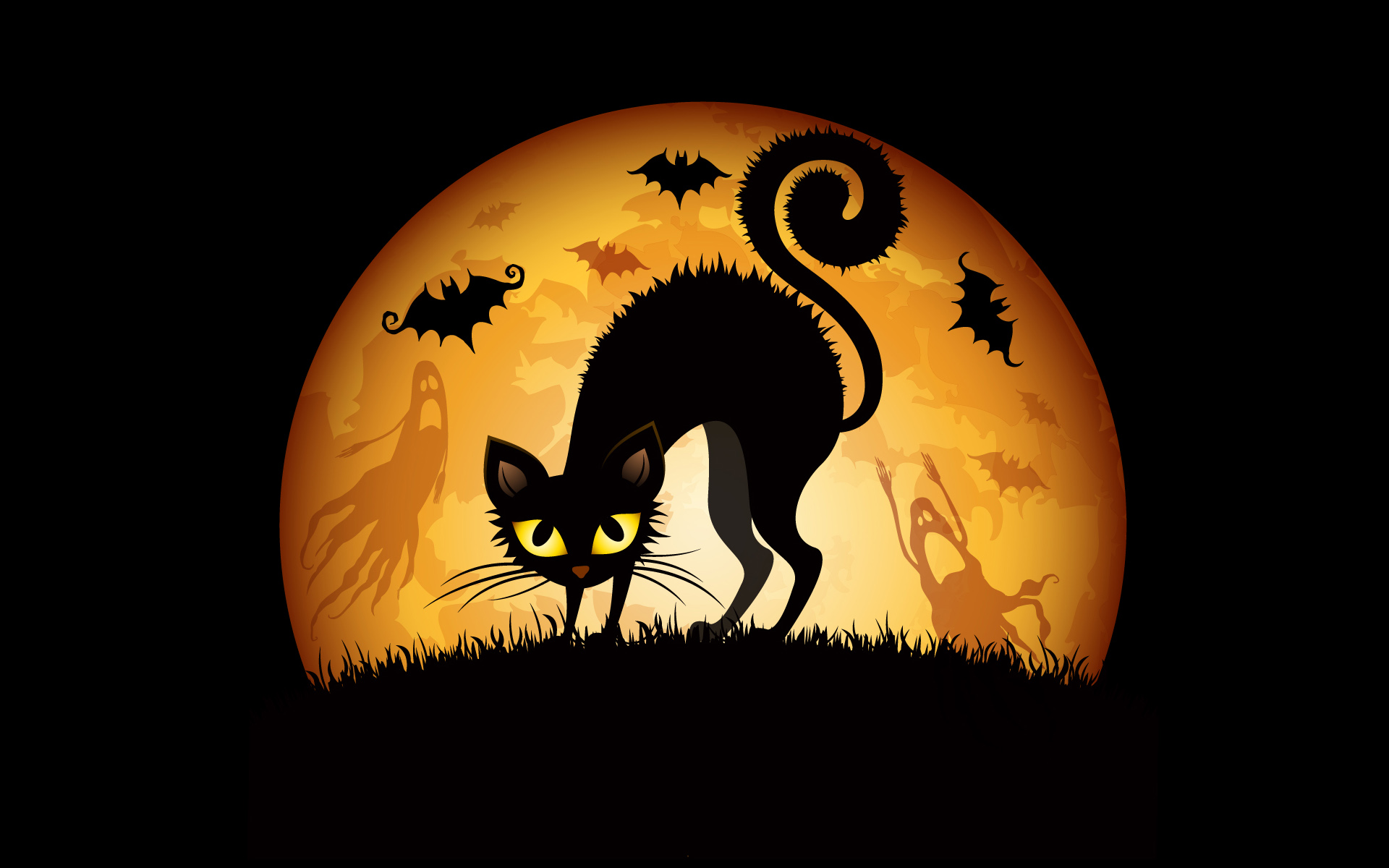 Halloween Cat Art Wallpapers Pictures Photos Images