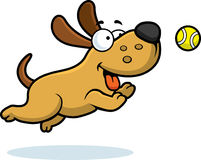 Playing Fetch Dog Stock Illustrations Vectors   Clipart    41