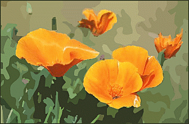     Poppy   Http   Www Wpclipart Com Plants Flowers Poppy California Poppy