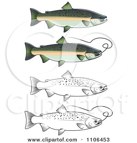 Royalty Free  Rf  Chum Salmon Clipart Illustrations Vector Graphics
