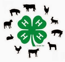 The 4 H South Central District Showmanship Clinic Wednesday July 23rd