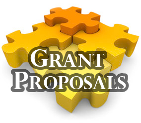 Viii Grant Development Assistance From Cer