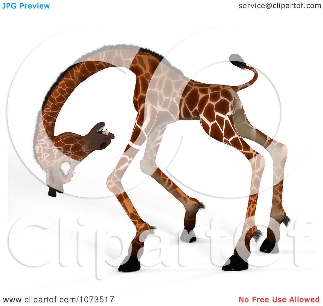 Animated Scared Cats Funny Scared Giraffe Spider