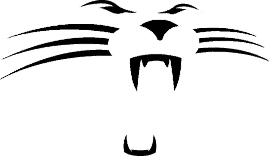 Carolina Panthers Alternate Logo  1995    A Panther Face In Black