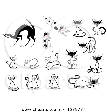 Clipart Of Sketched Siamese Spotted And Scared Cats   Royalty Free    
