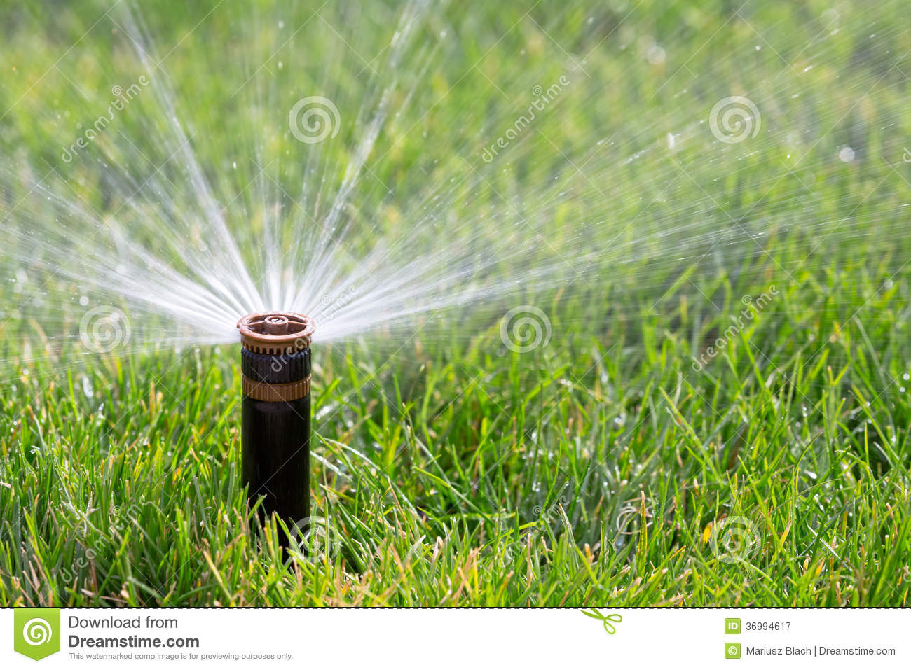 Sprinkler Royalty Free Stock Photography   Image  36994617