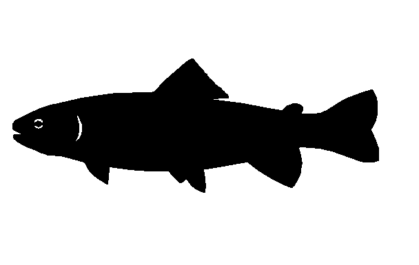 Trout Silhouette Free Cliparts That You Can Download To You Computer