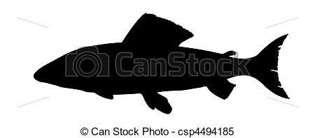 Clipart Vector Of Vector Silhouette Salmon On White Background
