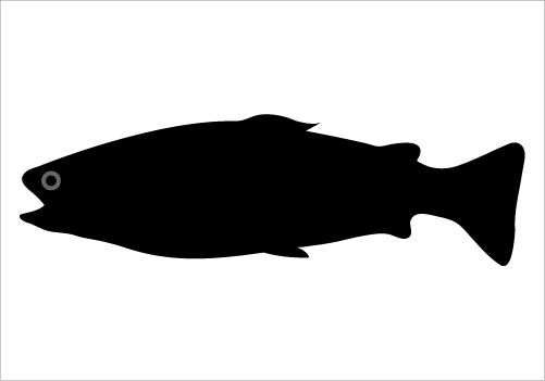 Fish Silhouette Silhouette Graphics