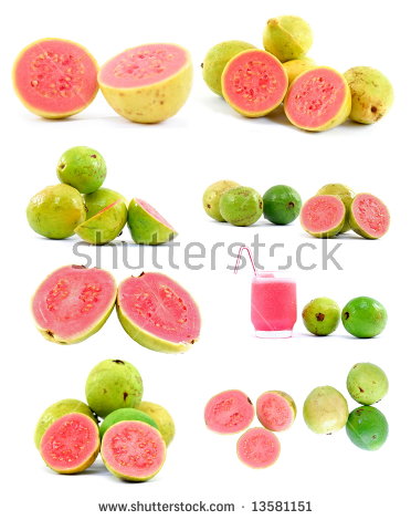Guava Fruit Clipart
