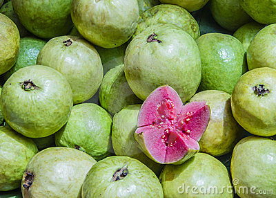 Guava Stock Image   Image  23674141