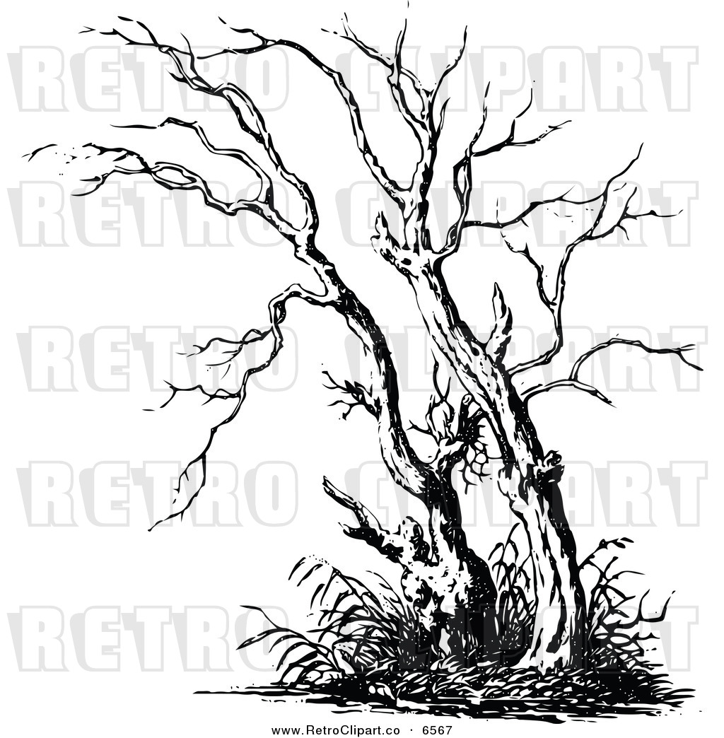 Larger Preview  Vector Clipart Of A Retro Black And White Bare Tree By