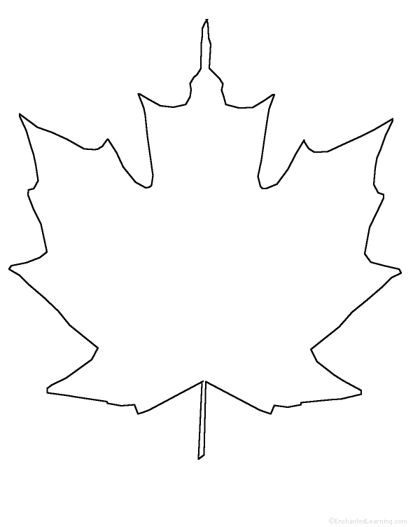 Maple Leaves Coloring Pages   Clipart Panda   Free Clipart Images