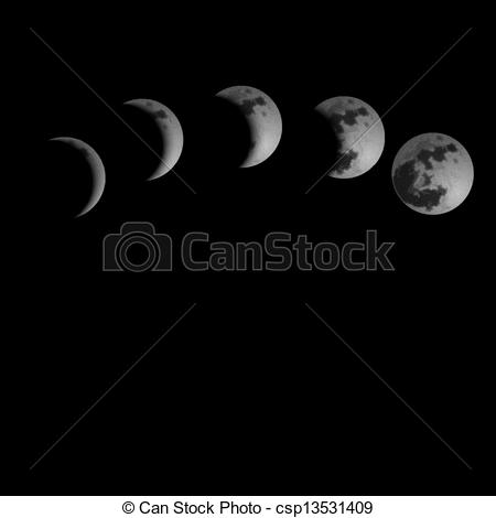 Moon Phases  Vector Illustration