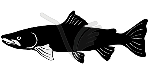 Silhouette Of Salmon   Vector Clipart