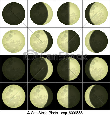Vector Of Moon Phases Set   Space Illustration Of Main Lunar Phases