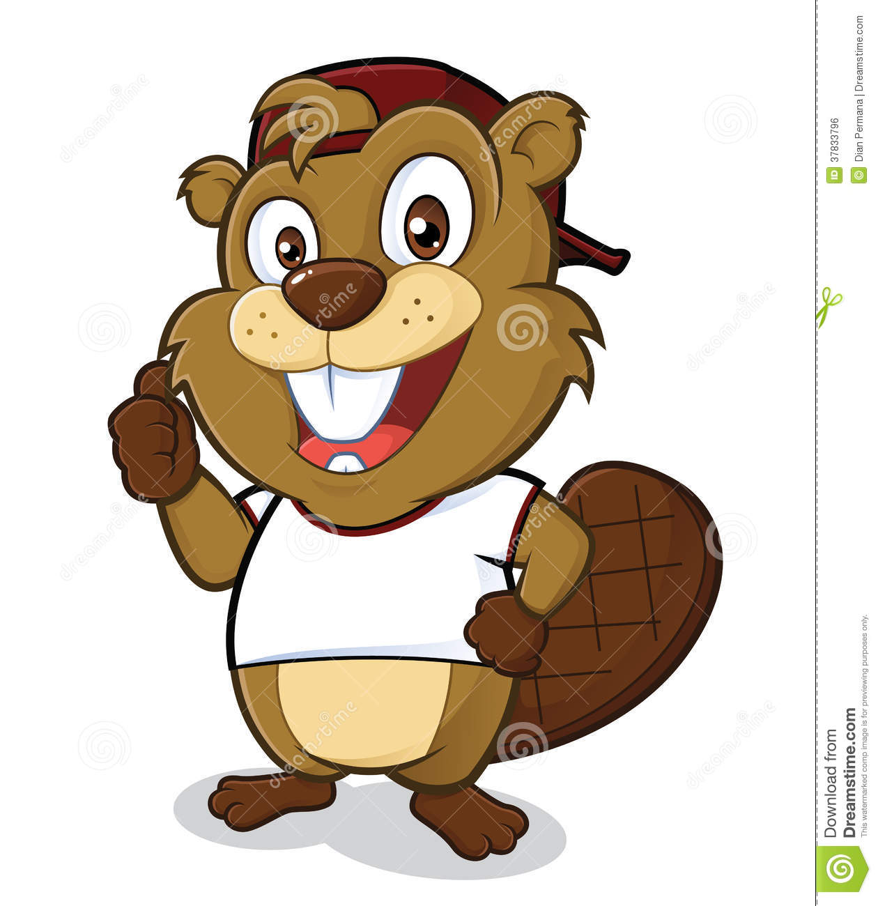 Beaver Wearing A Hat And A White T Shirt Royalty Free Stock Image
