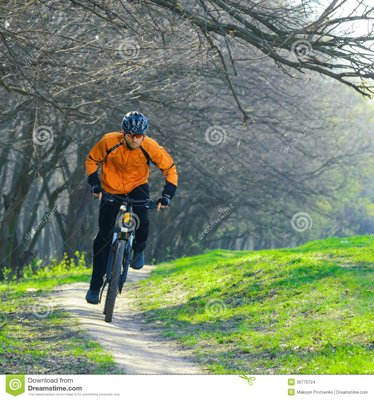 Cyclist Riding The Bike On The Trail In The Beautiful Spring Forest 