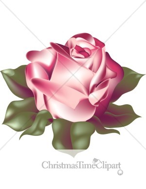 Single Pink Rose Clipart   Christmas Rose Clipart