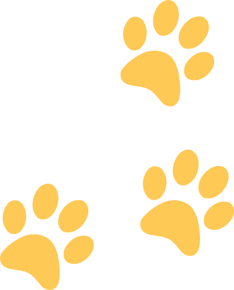 11 Small Panther Paw Print Images Free Cliparts That You Can Download