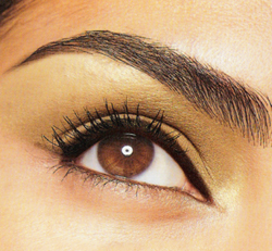 At Our Salon We Take Pride In Our Eyebrow Shaping  We Will Work With
