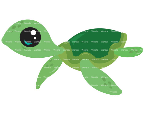 Baby Sea Turtle Clipart Images   Pictures   Becuo
