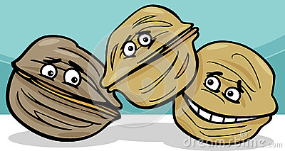 Cartoon Nuts Walnuts Nuts Cartoon