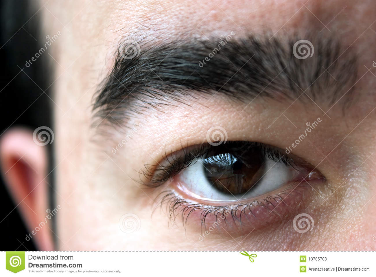 Closeup Of A Mans Brown Eye And Eyebrow  Shallow Depth Of Field