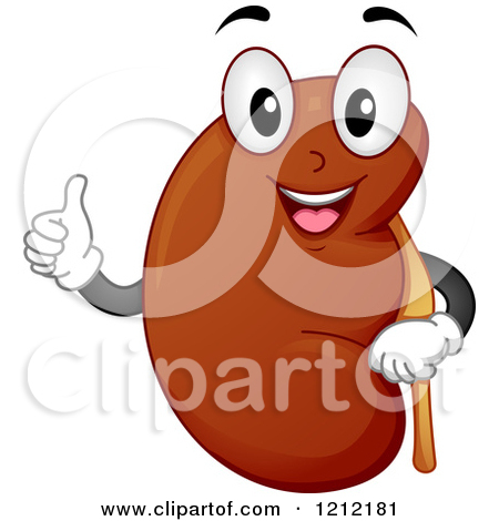 Happy Kidney Clipart   Cliparthut   Free Clipart