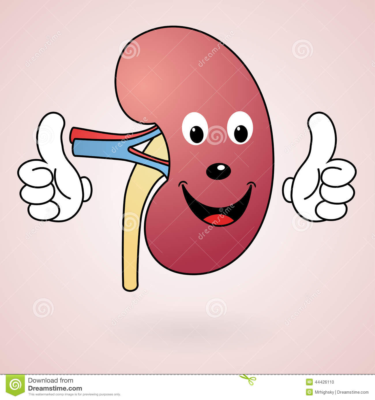 Illustration Of Happy Healthy Cartoon Kidney Giving Thumbs Up