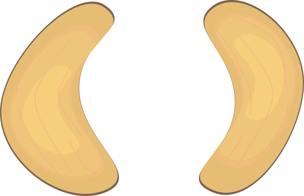 Nuts Clip Art Free Quotes