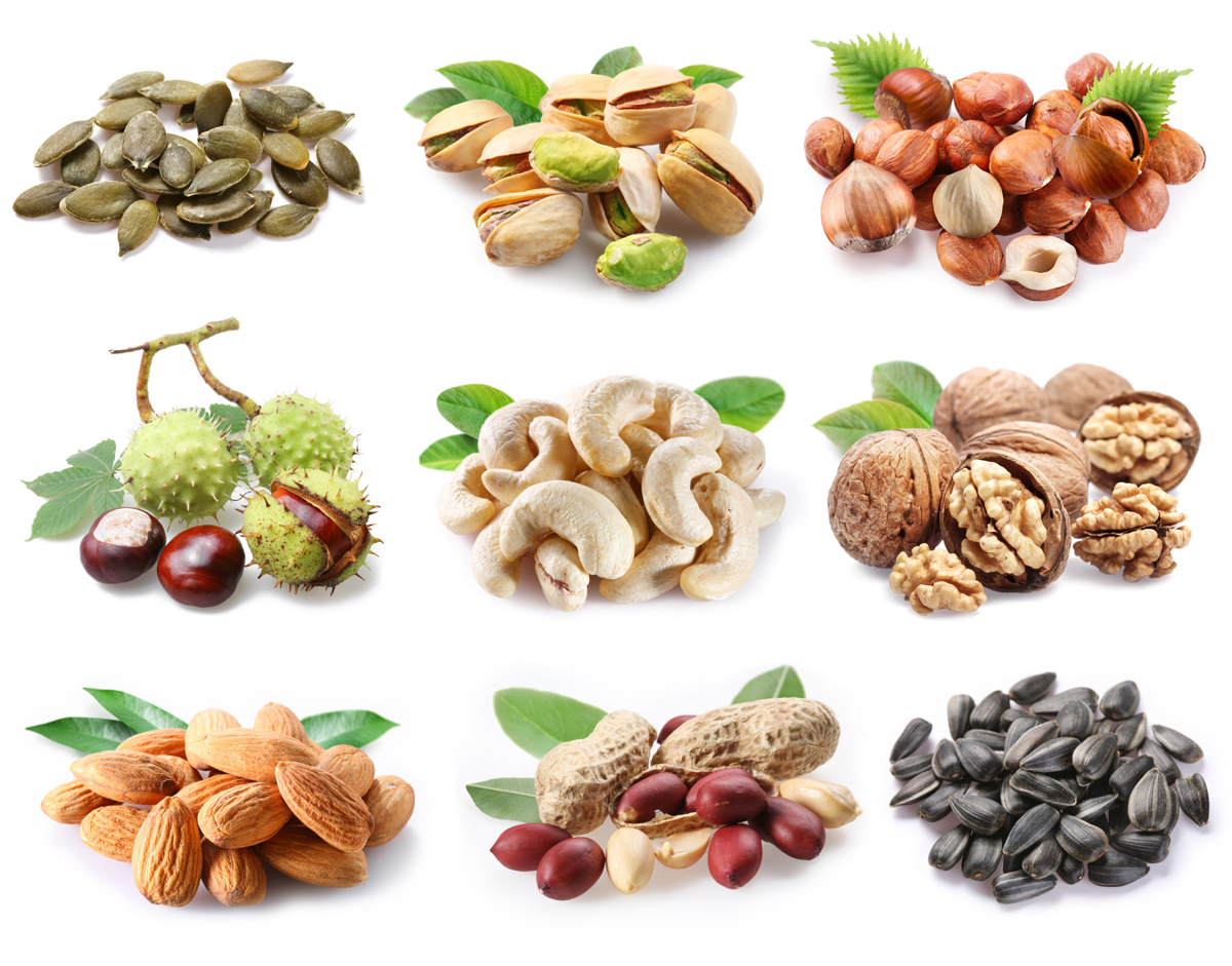 Nuts Clipart