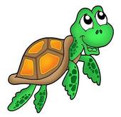 Sea Turtle Clipart And Stock Illustrations  319 Sea Turtle Vector Eps