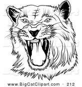 Big Cat Clipart Of A Black And White Hissing Panther On Whiteblack And