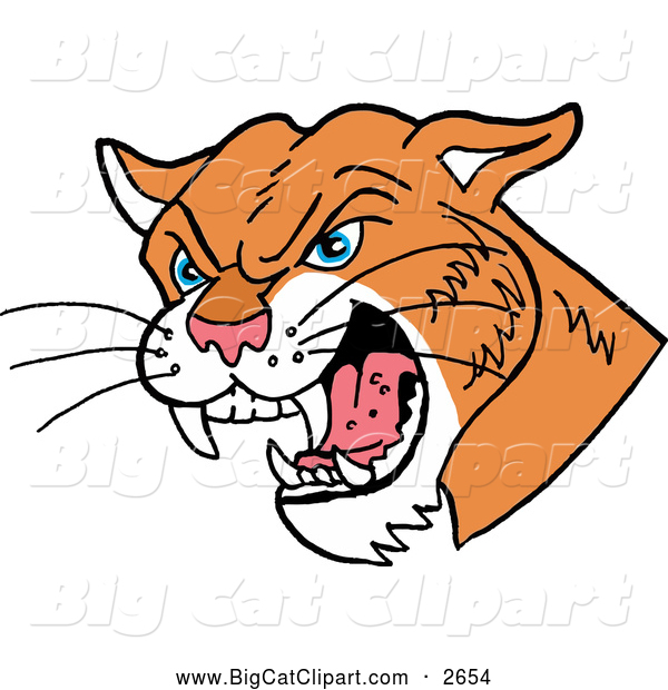 Big Cats Clip Art Clip Art Cougars Mascot Cougar Cougars Mascot    