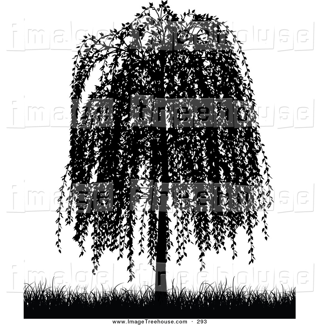 Clipart Of A Black Silhouetted Weeping Willow Tree And Grasses Over A