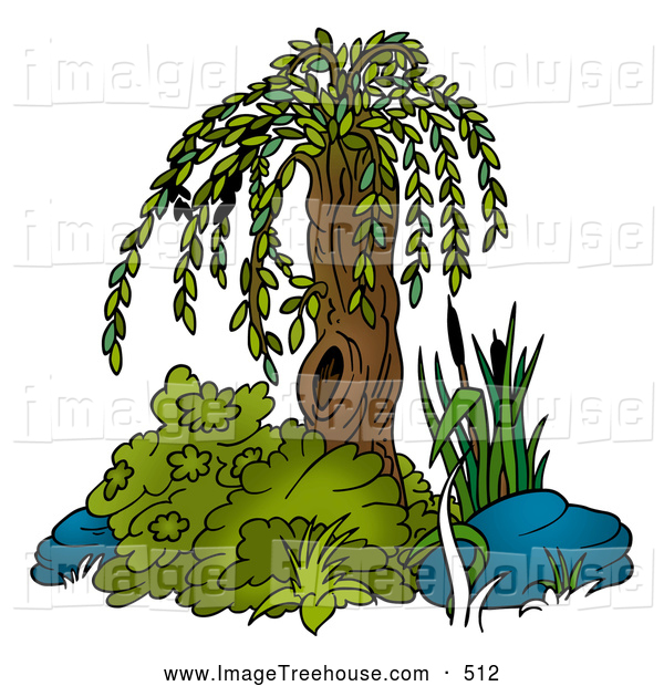Clipart Of A Nature Beautiful Small Weeping Willow By Dero    512