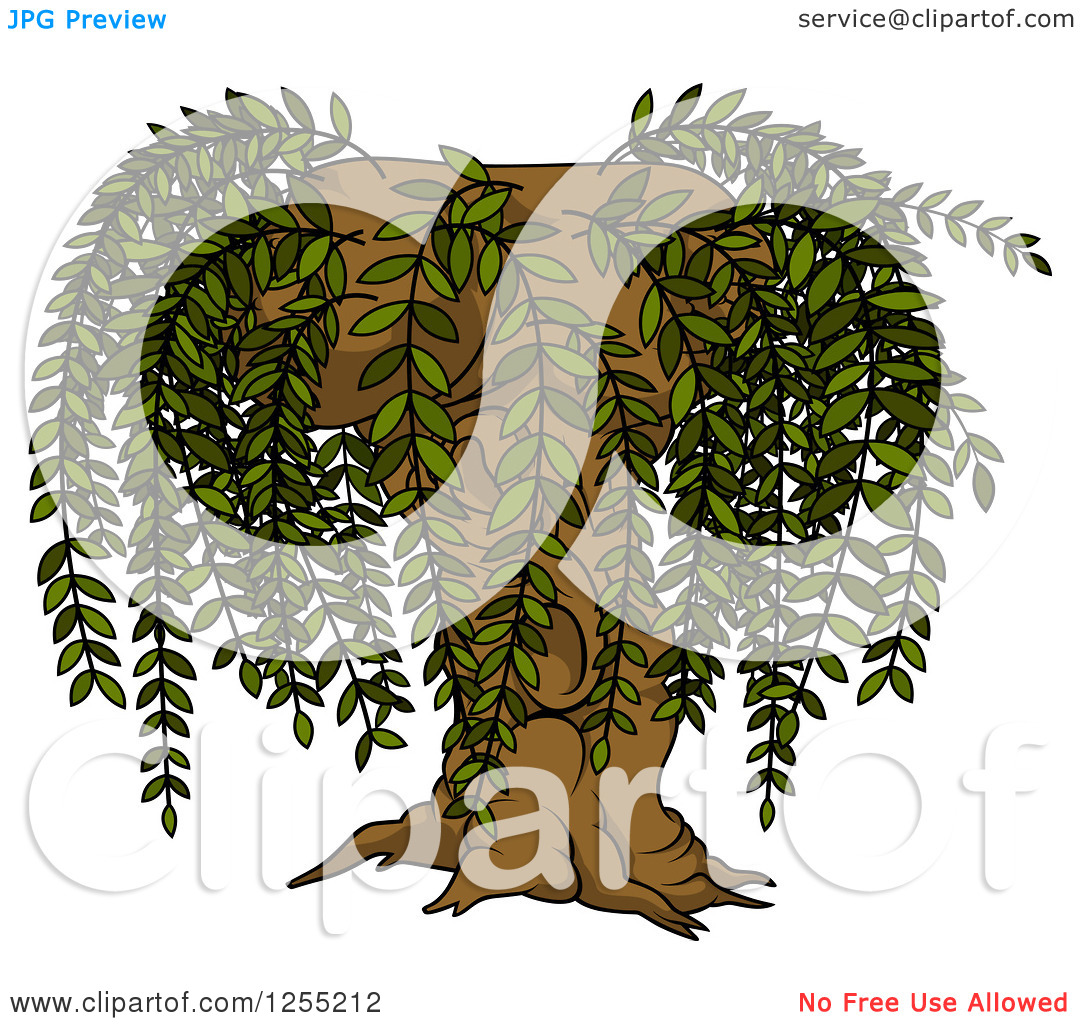 Clipart Of A Willow Tree   Royalty Free Vector Illustration By Dero