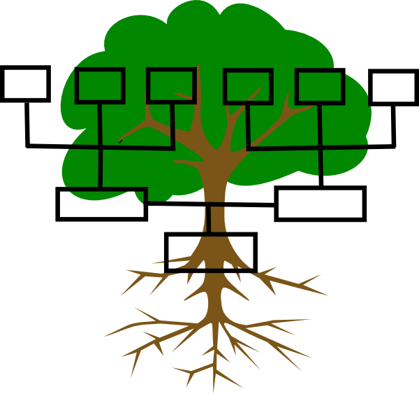 Family Tree Clip Art At Clker Com   Vector Clip Art Online Royalty