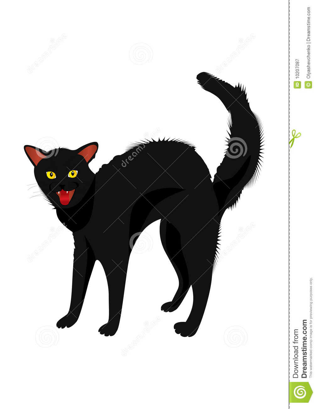 Hissing Cat Royalty Free Stock Photography   Image  10207087