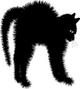 Scaredy Cat  Black Cat Hissing With Arched Back 0515 0909 1716 2629