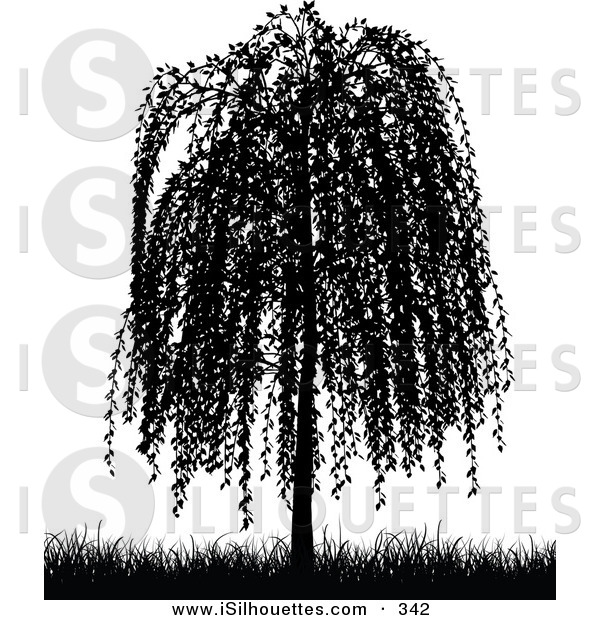 Silhouette Clipart Of A Black Silhouetted Weeping Willow Tree And