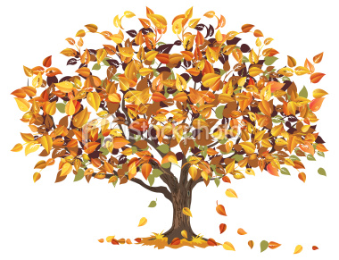 The Wisdom Of Autumn Trees   Christine Mabon