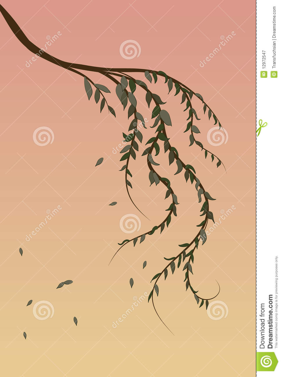 Weeping Willow Tree Branch Background Royalty Free Stock Photography