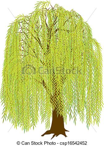 Willow Tree   Csp16542452