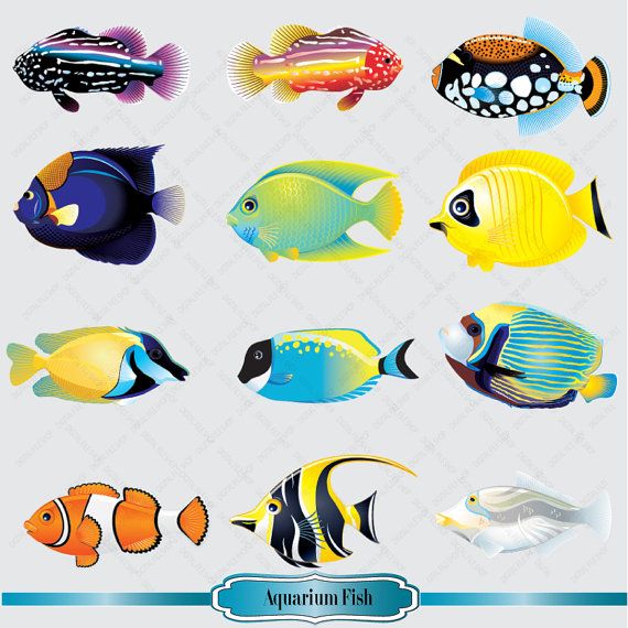 Aquarium Fish Clipart Set Salt Water Fish Clip By Digitalfileshop  5