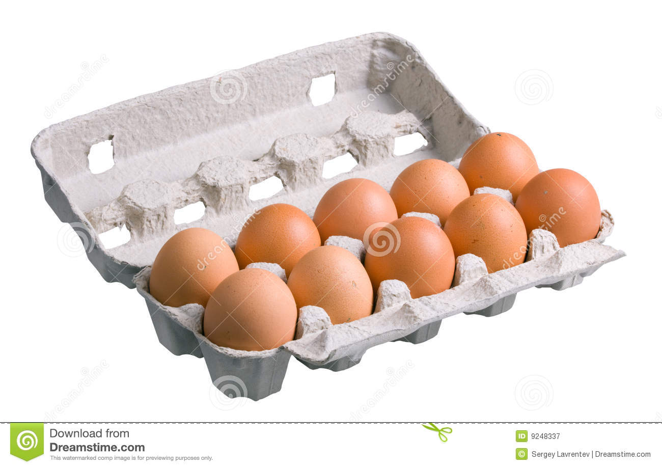 Eggs In Carton Royalty Free Stock Photography   Image  9248337
