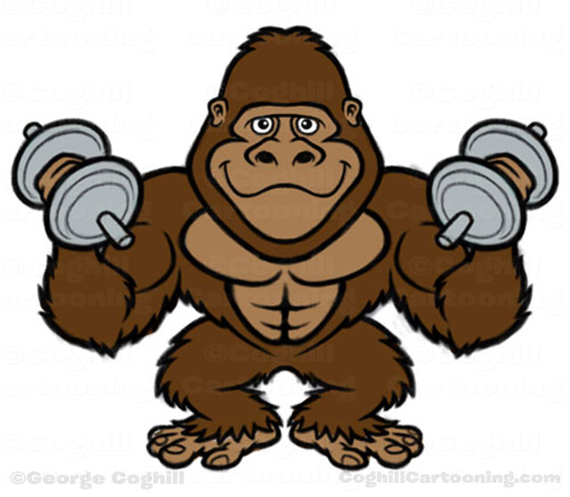 Jungle Gym Gorilla Bodybuilder Cartoon Character Sketches   Coghill