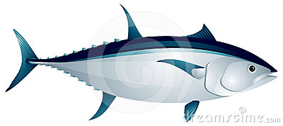 Tuna Fish Clip Art   Clipart Panda   Free Clipart Images