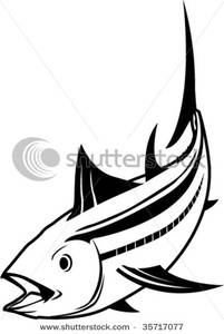 Tuna Fish Clip Art   Clipart Panda   Free Clipart Images